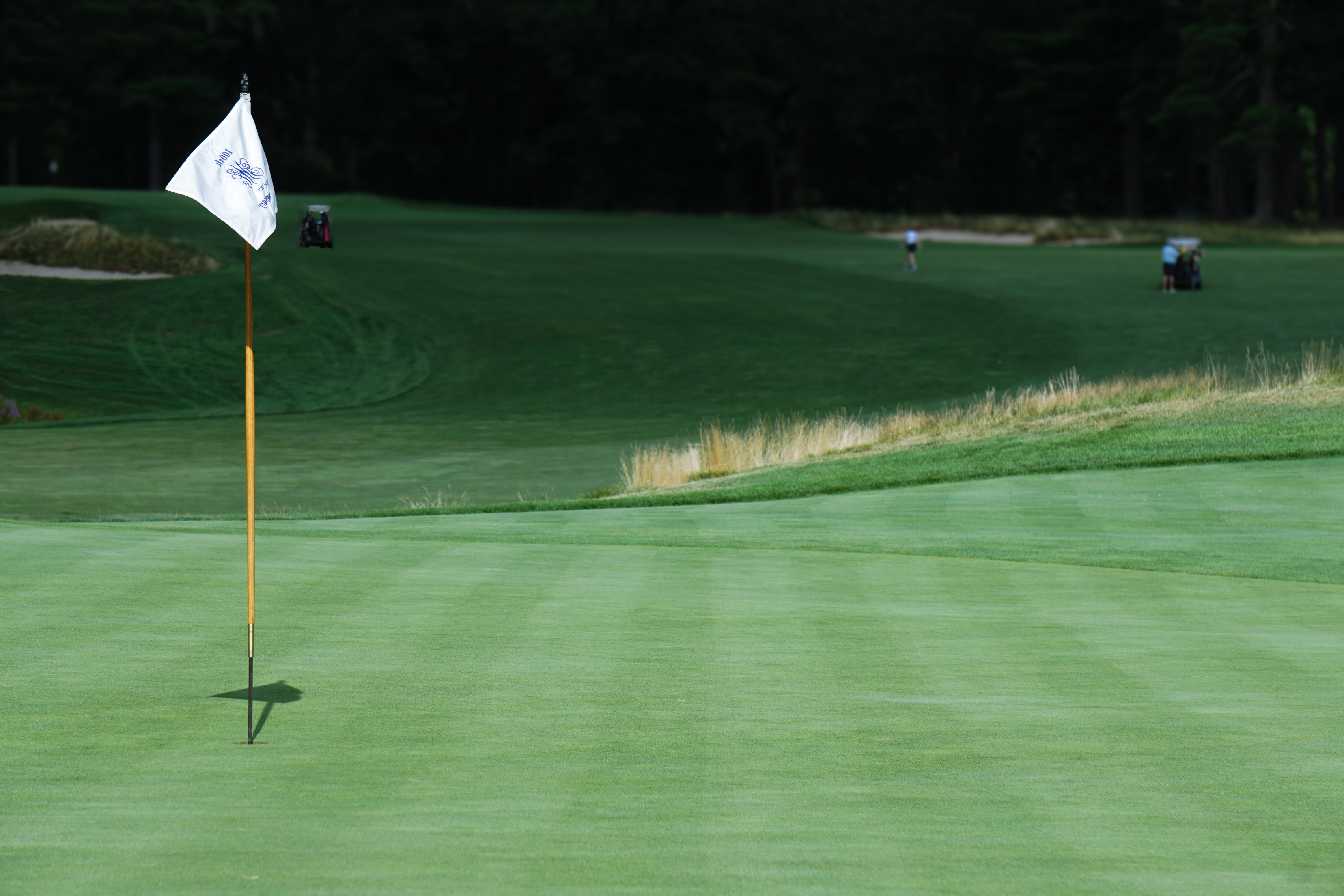Pin and flag on a golf course green with golfers in the background