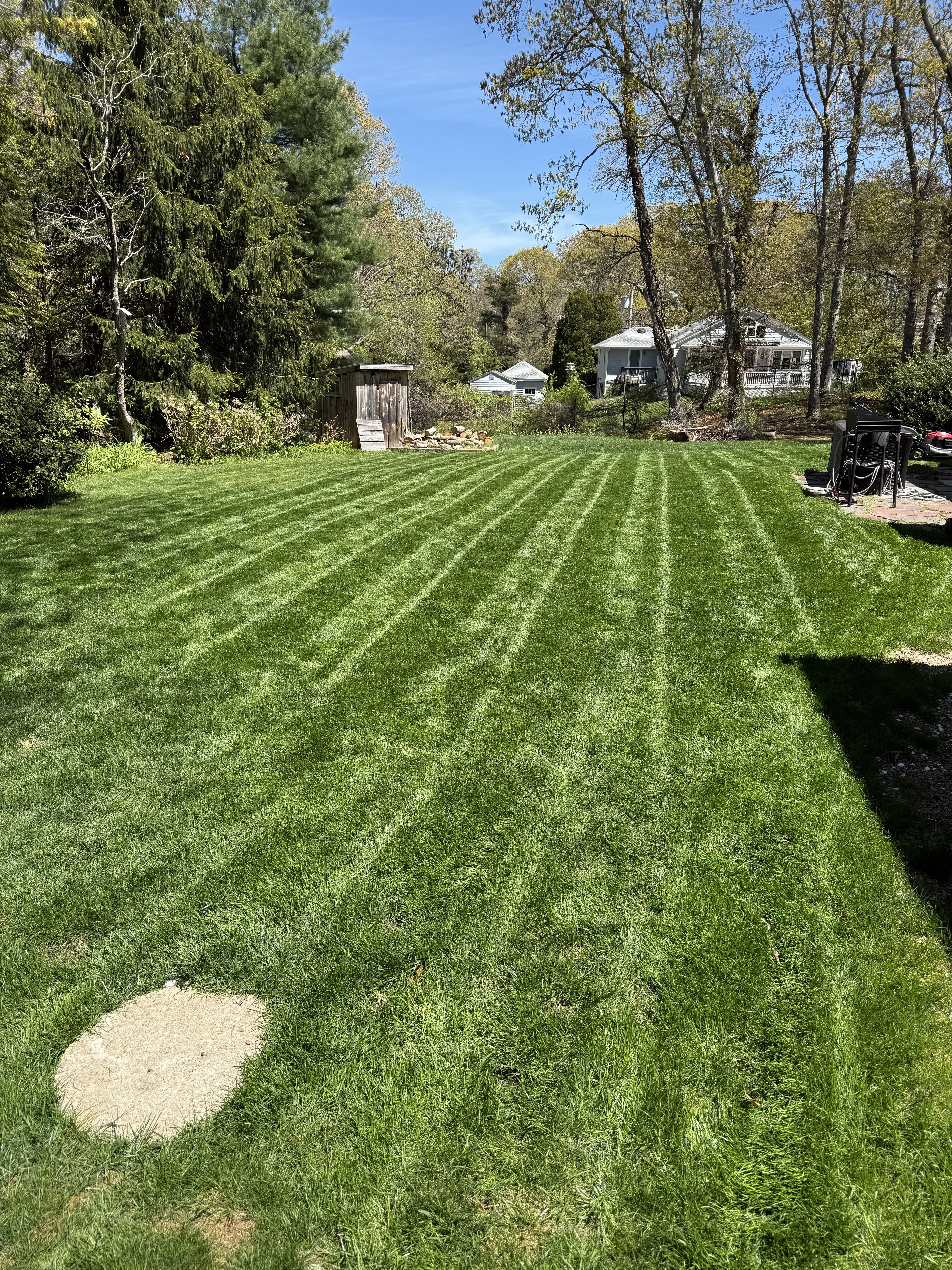 Beautifully striped residential lawn with precise mowing pattern